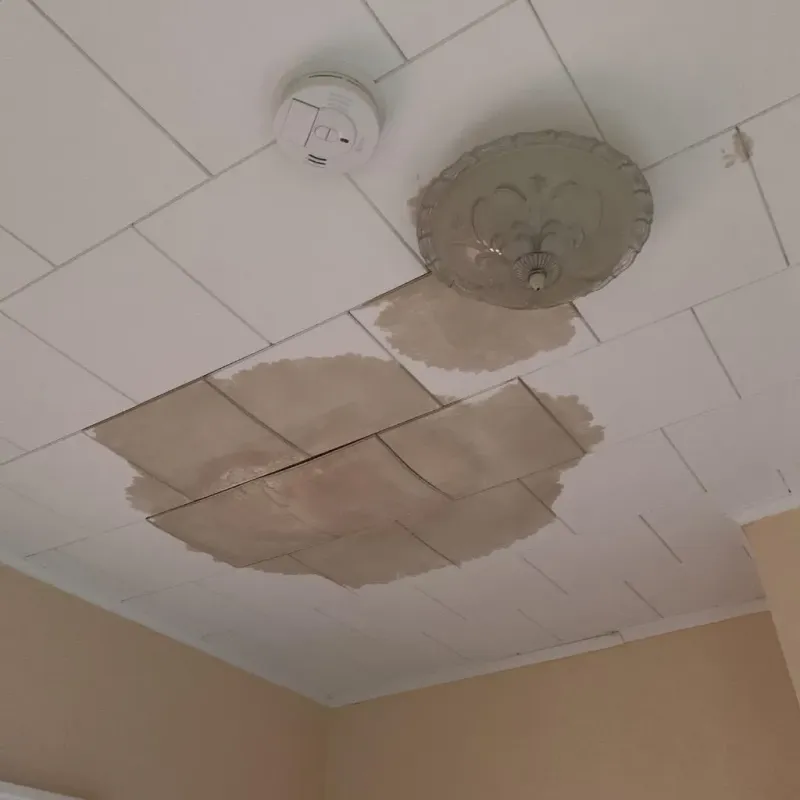 Ceiling Water Damage Repair in Chattanooga, TN