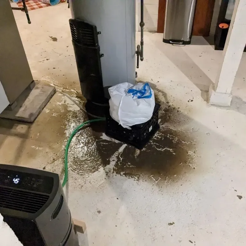 Sewage Backup Cleanup Service in Chattanooga, TN